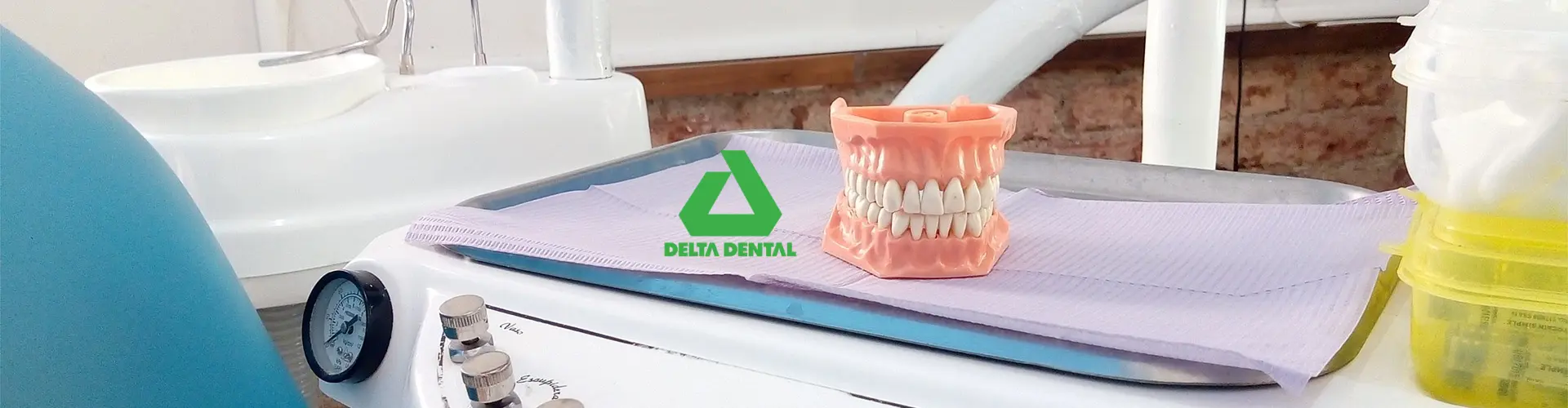 Sunnyvale Delta Dental PPO: A Comprehensive Guide 1 Delta dental PPO dentist Sunnyvale